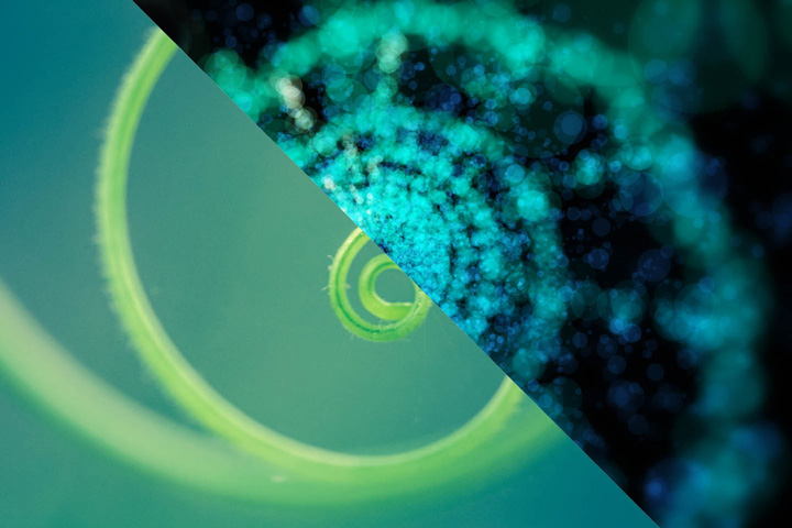 Split image if spiral effects