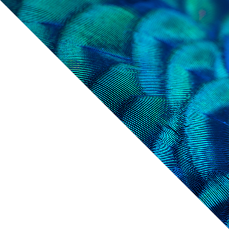 graphic-triangle-bottom-left