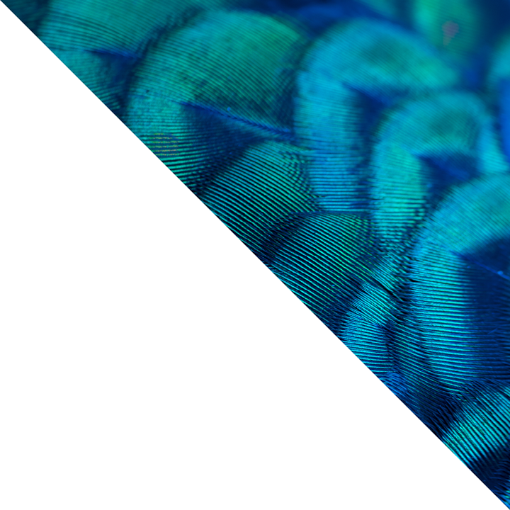 graphic-triangle-bottom-left
