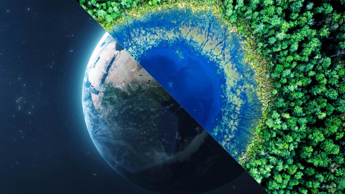 Split image of earth and rainforest