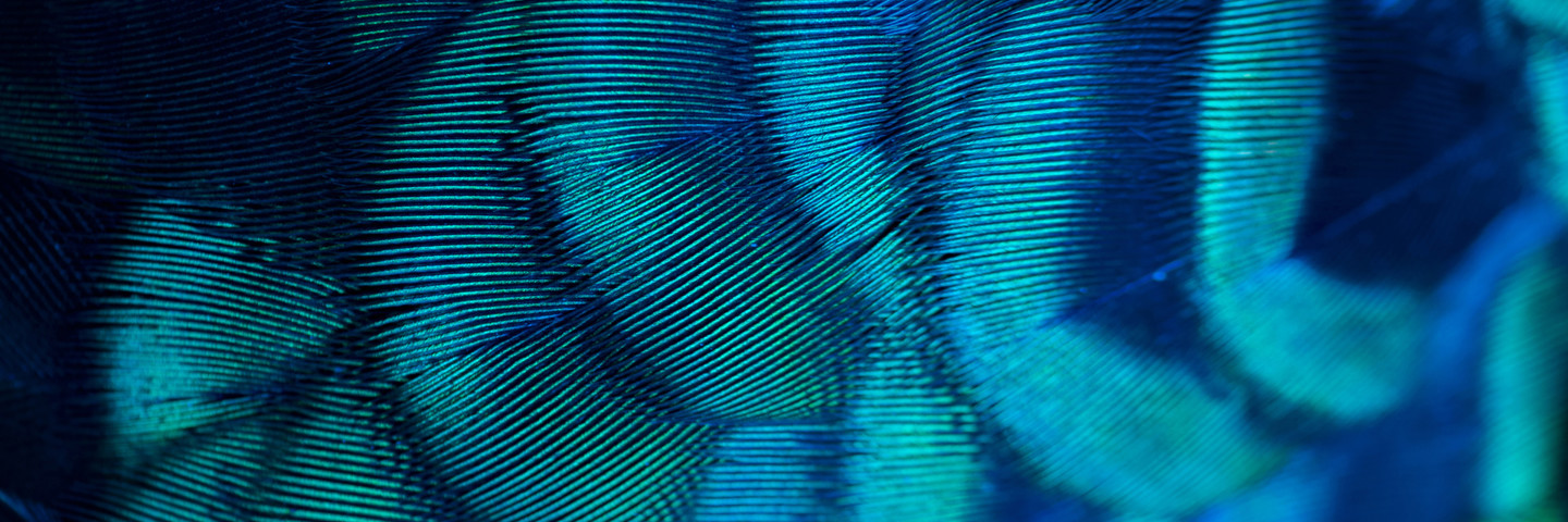 Abstract image of blue fingerprints