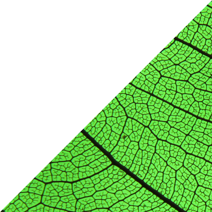 graphic-triangle-bottom-left