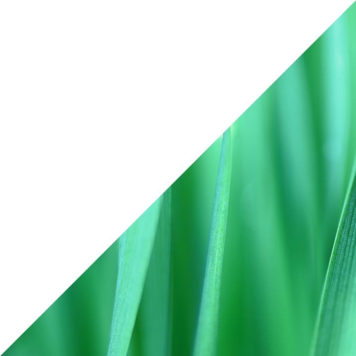 graphic-triangle-bottom-left