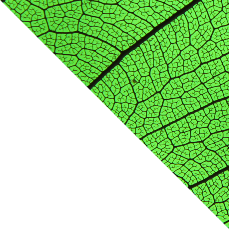 graphic-triangle-bottom-left