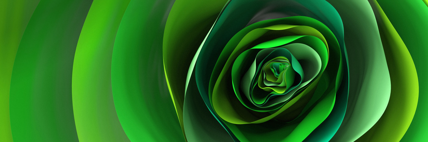 Image of leaf flower detail