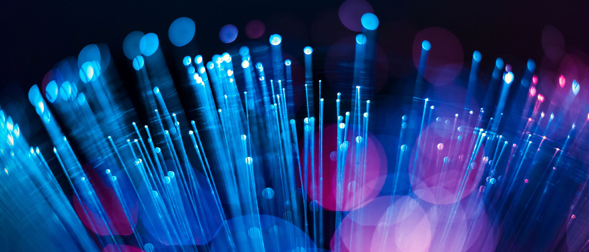 Purple and blue fibre optics