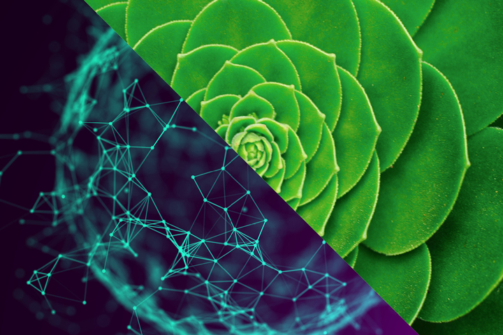 Split image of abstract technology image and plant detailing